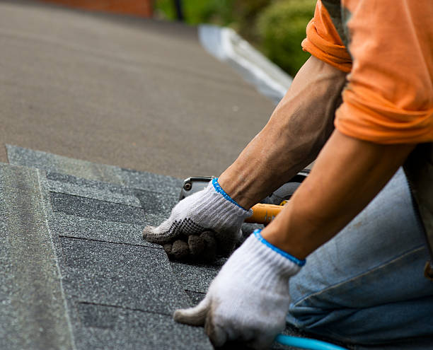 Best Roof Repair Services  in New Franklin, MO