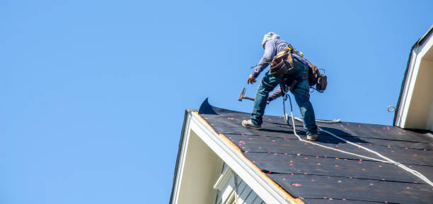 Best Gutter Installation and Roofing  in New Franklin, MO